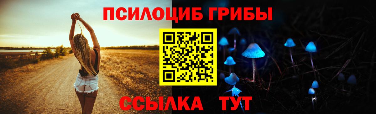 Псилоцибиновые грибы Cubensis Рязань